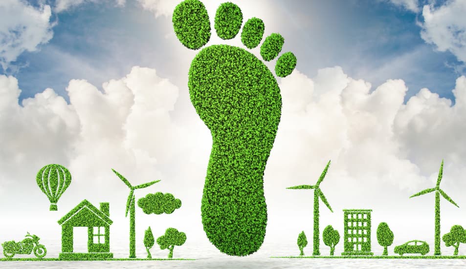 how can we reduce the carbon footprint in the logistics area of our company? | naeco