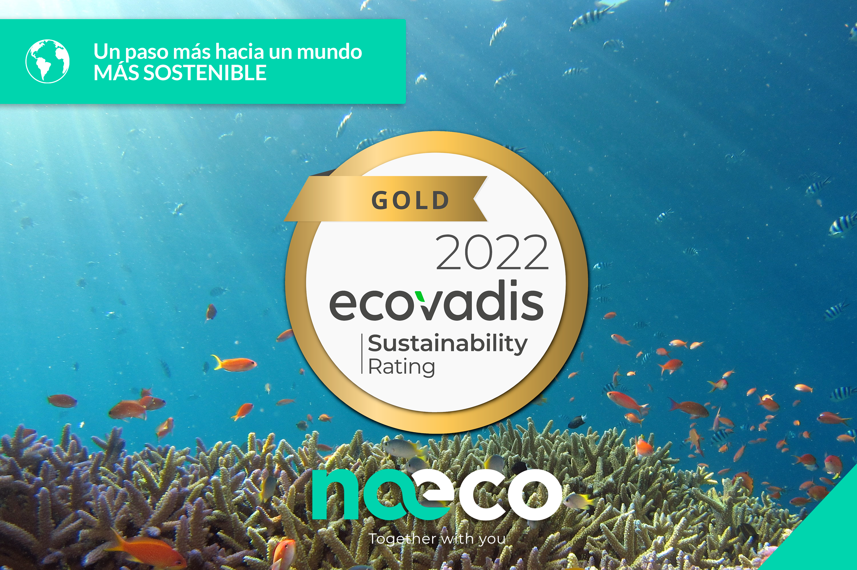 Naeco obtiene la medalla de oro de Ecovadis por su compromiso con la sostenibilidad 